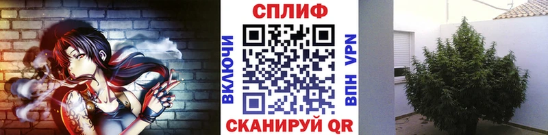 Где найти наркотики Тюмень ГЕРОИН  Мефедрон  Конопля  Кокаин 