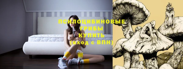 spice Абдулино