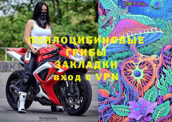 марки lsd Абаза